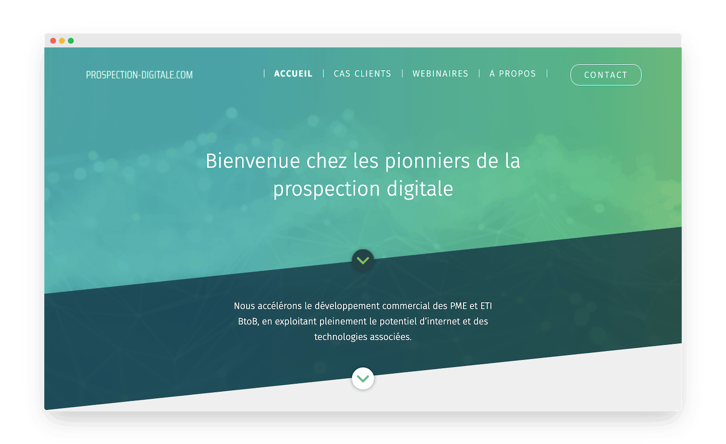 homepage de prospection-digitale.com
