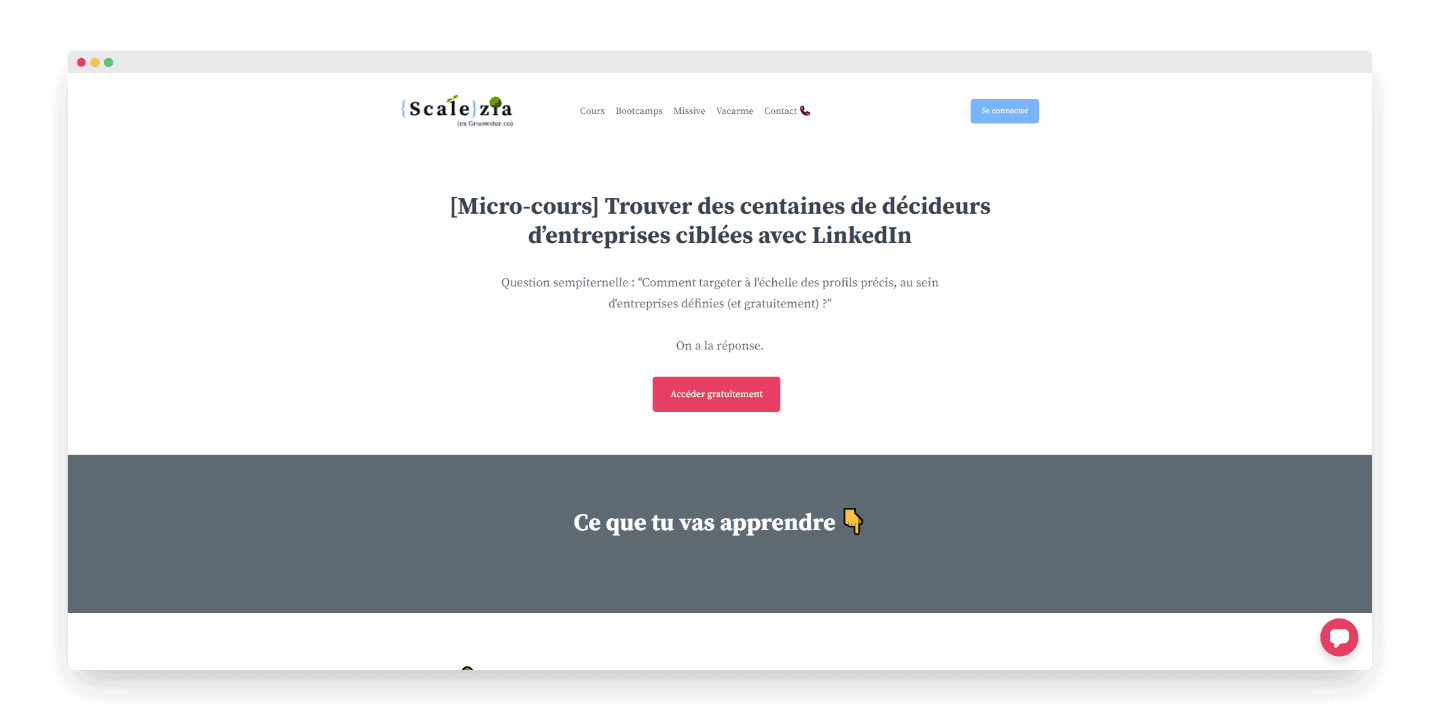 cours linkedin scalezia