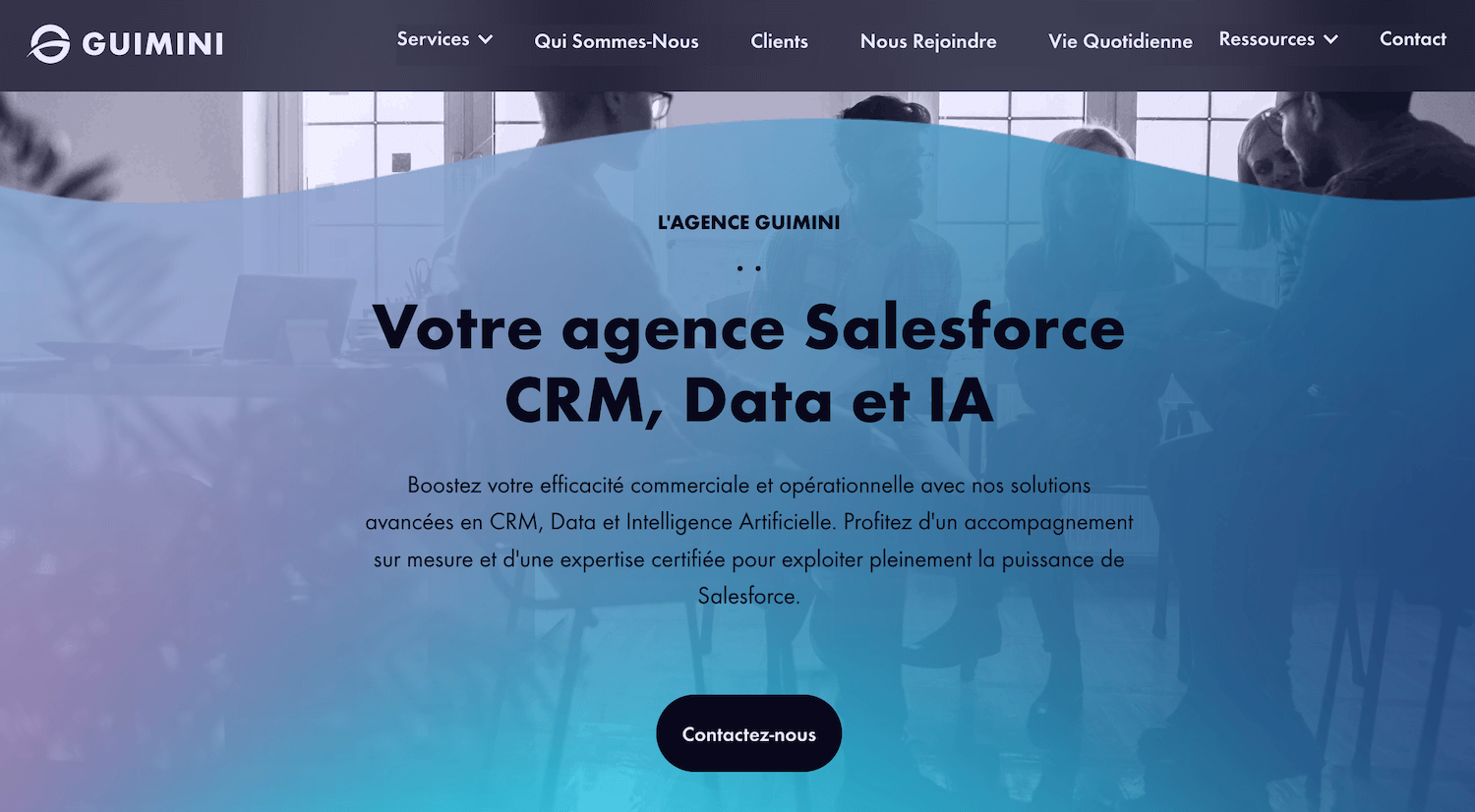 integrateur salesforce guimini