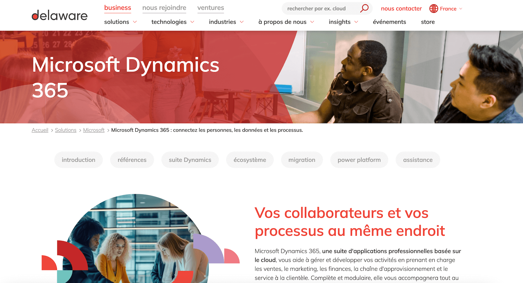 integrateur microsoft dynamics 365 delaware